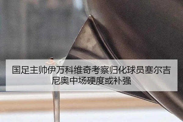 国足主帅伊万科维奇考察归化球员塞尔吉尼奥中场硬度或补强