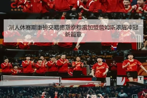 湖人休赛期重磅交易德章泰穆雷加盟詹姆斯浓眉冲冠新篇章
