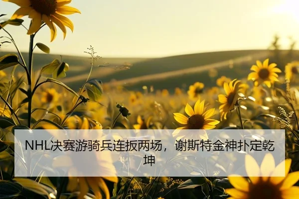 jue-sai-you-qi-bing-lian-ban-liang-chang-xie-si-te-jin-shen-pu-ding-qian-kun-3-428.jpg