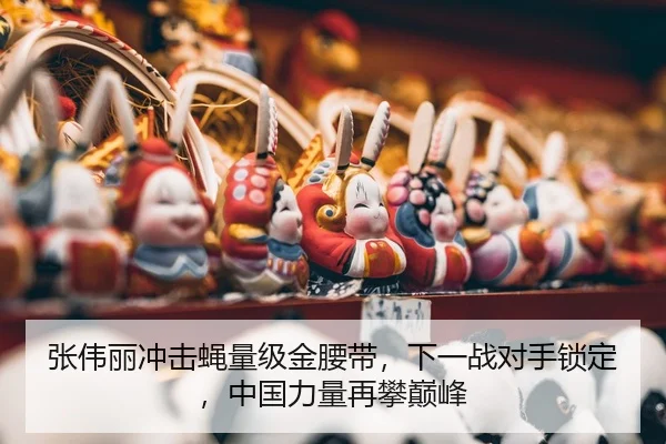 zhang-wei-li-chong-ji-ying-liang-ji-jin-yao-dai-xia-yi-zhan-dui-shou-suo-ding-zhong-guo-li-liang-zai-pan-dian-feng-3-692.jpg