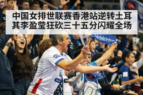 volleyball stadium crowd